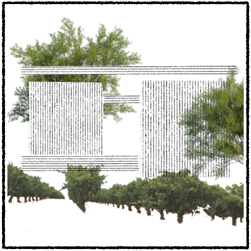 Calli Yeliztli: conceptual cartography