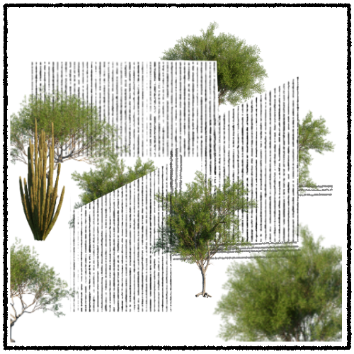 Duarum Animarium: conceptual cartography